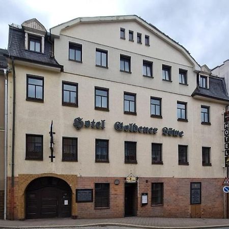 Hotel Goldener Loewe Zeulenroda-Triebes Eksteriør bilde
